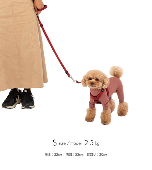 MANDARINE BROTHERS クラシックリード/CLASSIC LEASH